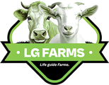 Lifeguide Dairy