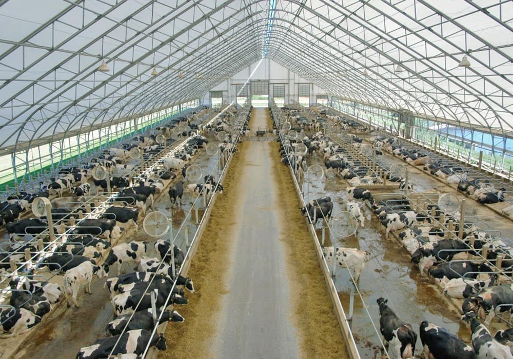 Agribusiness